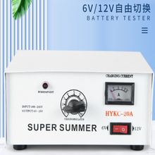 Učitaj sliku u galeriji, Punjač za Akumulator 20A