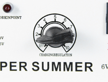 Učitaj sliku u galeriji, Punjač za Akumulator 20A