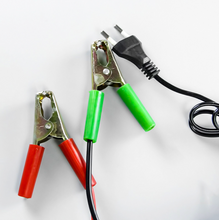 Učitaj sliku u galeriji, Punjač za Akumulator 20A